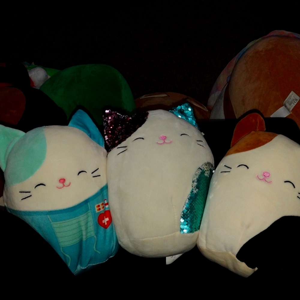 8" Shany, Cassie and Cam squishmallow bundle